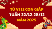 Tử vi 12 con giáp tuần mới từ 22/12 - 28/12/2025 tài lộc