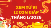 Tử vi của 12 con giáp tháng 1/2026 - Coi bói tử vi 12 con giáp tháng
