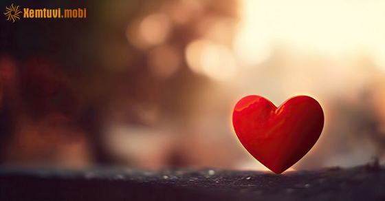 Xem bói tử vi 12 con giáp ngày 10/1/2026 thứ 7 Xem bói tử vi 12 con giáp ngày 10/1/2026 thứ 7