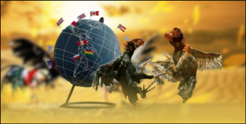 Đá gà 33Win - Đấu trường chọi kê đỉnh cao và uy tín hàng đầu hiện nay