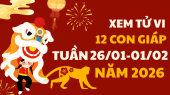 Tử vi 12 con giáp tuần mới từ 26/1 - 1/2/2026 tài lộc