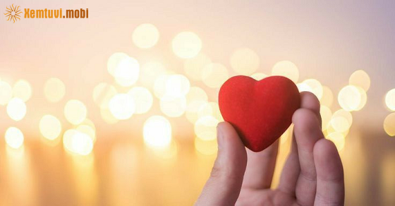  Xem bói tử vi 12 con giáp ngày 31/1/2026 thứ 7