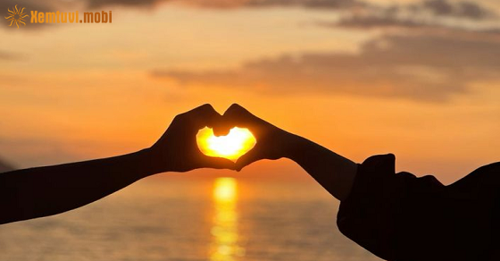 Tử vi chủ nhật của bạn ngày 8/2/2026