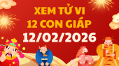 Coi tử vi 12 con giáp ngày 12/2/2026 - Tử vi ngày 12 con giáp tài lộc