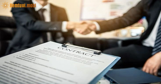  Xem tử vi của 12 con giáp tuần mới từ ngày 23/2 đến 1/3/2026