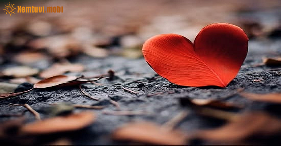  Tử vi hàng ngày 12 con giáp tài lộc thứ 5 ngày 5/3/2026