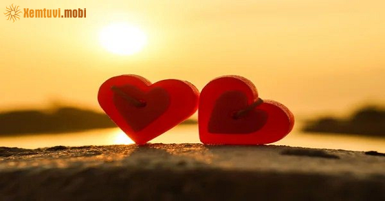 Tử vi của 12 con giáp hôm nay ngày 1 tháng 4 năm 2026 Tử vi của 12 con giáp hôm nay ngày 1 tháng 4 năm 2026