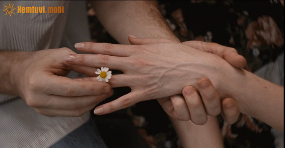 Tài lộc tử vi 12 con giáp chủ nhật ngày 19/4/2026 Tài lộc tử vi 12 con giáp chủ nhật ngày 19/4/2026