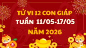 Tử vi 12 con giáp tuần mới từ 11/5 - 17/5/2026 tài lộc