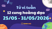 Tử vi tuần mới 12 cung hoàng đạo 25/5 - 31/5/2026: Sư Tử tràn đầy tự tin, uy quyền